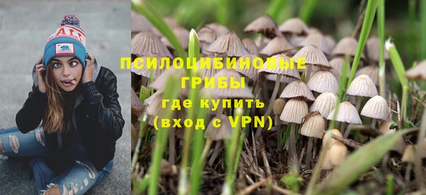дмт Няндома