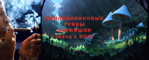 дмт Няндома