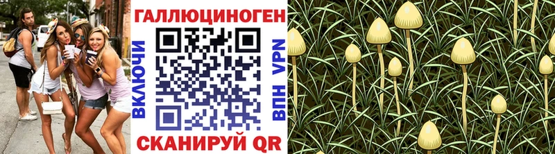 Галлюциногенные грибы Psilocybe  наркошоп  Подпорожье 