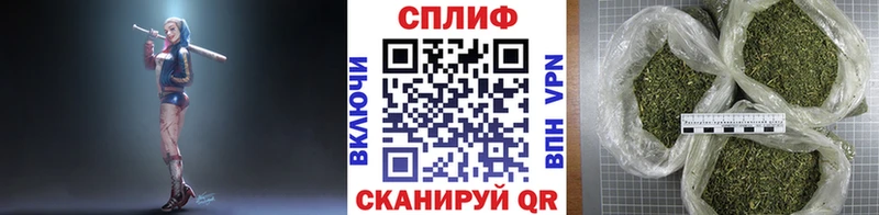 гидра   Подпорожье  Бошки марихуана Ganja 